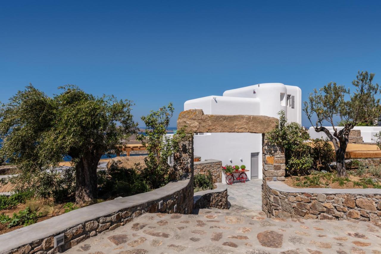 Villa Sara Mykonos *